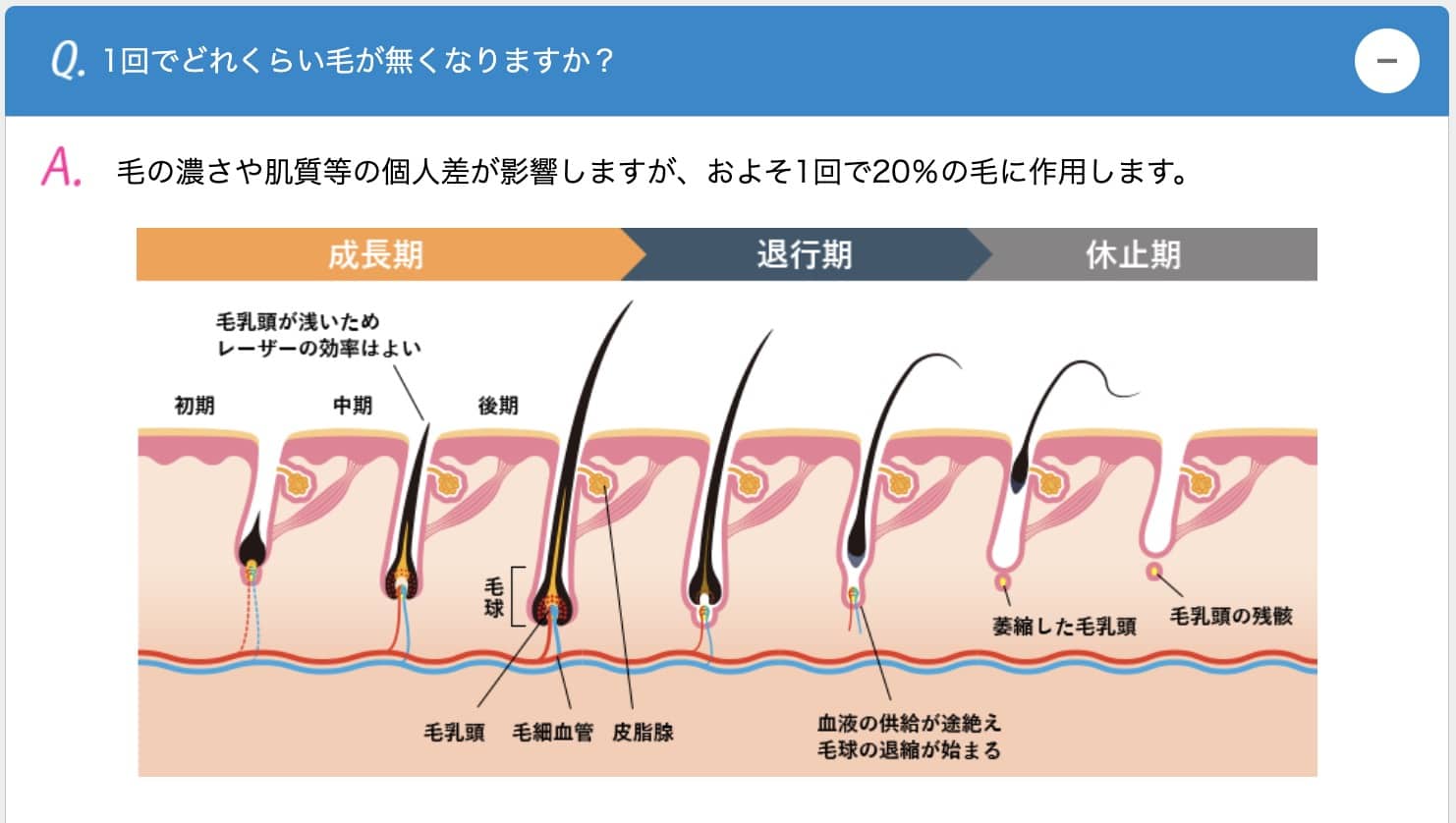 毛周期のサイクル画像2