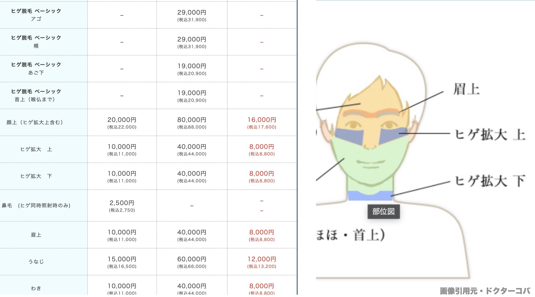 引用元：ドクターコバ